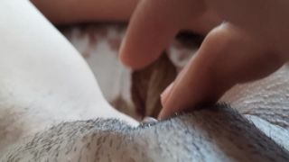 Lesbian_Illusion - Fingered Her Unshaven Pussy During H